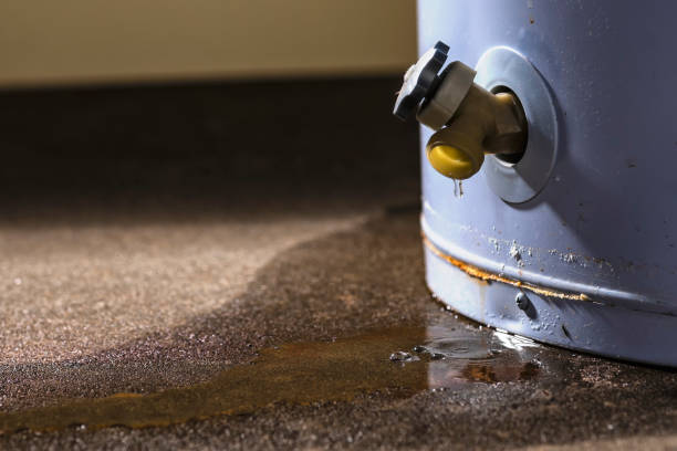 Best Basement water damage restoration  in Ridgely, MD