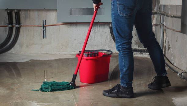 Best Water damage restoration cost  in Ridgely, MD