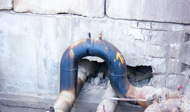 Best Professional water damage repair  in Ridgely, MD