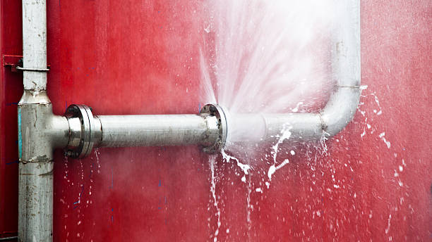 Best Ceiling water damage repair  in Ridgely, MD